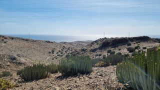2024-02-GranCan-Playa Del Aguila-Trek-42.jpg
